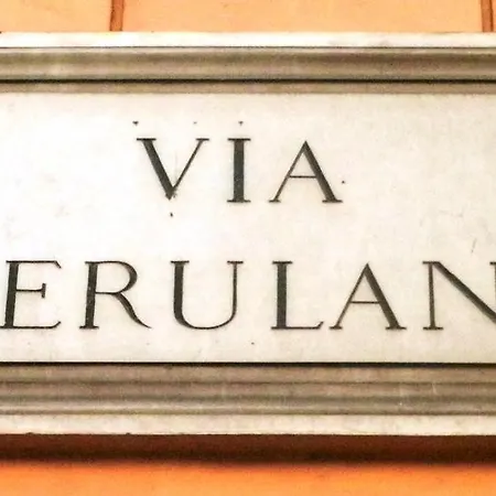 Centroroma *
