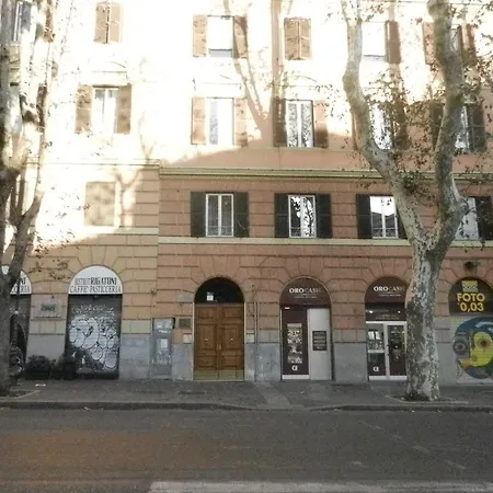 Centroroma *