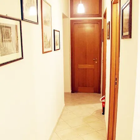 Centroroma *